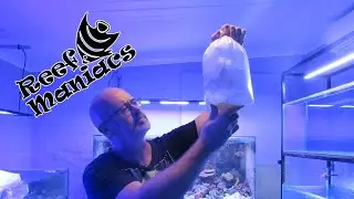 Unboxing Indo Fish & Coral, First shipment in a long time