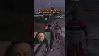 FRAMETAMER В РП 