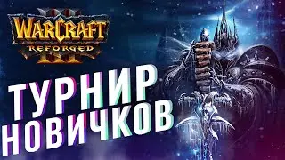 [СТРИМ] УЧАСТВУЕМ В ТУРНИРЕ ДЛЯ НОВИЧКОВ В WARCRAFT 3 | Warcraft 3 Reforged