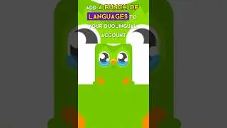 How to change language in Duolingo 