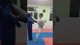 Отработка ударов на 