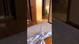 Так выглядит счастье 👌🏻