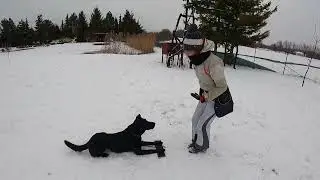 Kira zmiany pozycji 15.01.2024