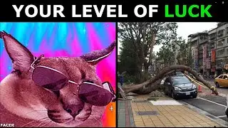 Floppa Becoming Canny  (YOUR LEVEL OF LUCK)