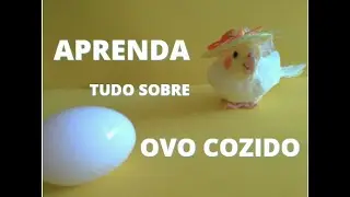 COMO PREPARAR OVO COZIDO PARA CALOPSITA