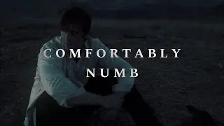 Nate Fisher || Comfortably Numb