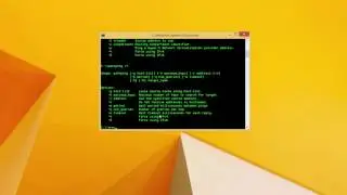 Windows Networking Diagnostics