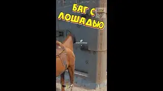 Баг с лошадью в Rust. Horse bug in Rust. Кто не видел, не знает как передавать ресурсы через стенки.