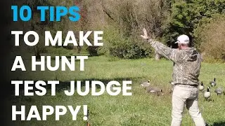 10 TIPS TO MAKE A HUNT TEST JUDGE HAPPY!