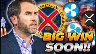 Ripple CEO Reveals How The Lawsuit Has BACKFIRED on The SEC!