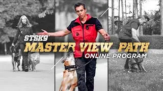 The Ultimate Online Dog Training Master Class
