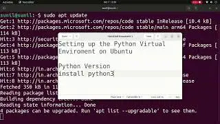 Setting up Python Virtual Environment in Ubuntu