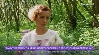 В отпуск с питомцем: как перевозить животных в самолетах и поездах