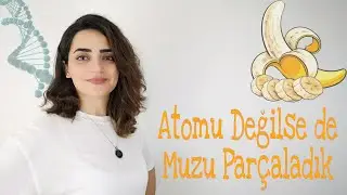Muzun DNA'sını Çıkaralım, Fen Deneyleri