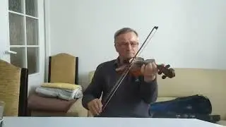 Władysław Radomski z Przysietnicy – skrzypce