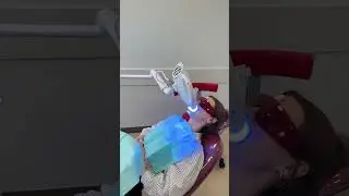 Записаться на консультацию можно по номерам:+375 (29) 623-72-37 (А1)+375 (33) 375-72-37 (мтс)