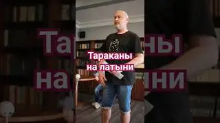 Тараканы на латыни #поэзия21века #мнемотехника #биология #зоология #тараканы #латынь #образование