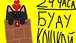Я 24 часа буду кошкой • Обязательно посмотри, Там смешно 😂
