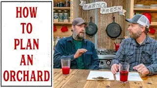 PODCAST: PLANNING AN ORCHARD FOR YOUR HOMESTEAD - PANTRY CHAT #44