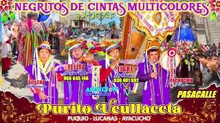 🌈 NEGRITOS de CINTAS MULTICOLORES 2024 con FELITO y TIGRE de CHIPAO 🎶