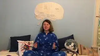 What Happens While You Sleep?