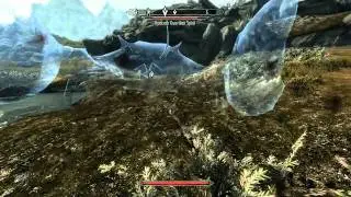 The Elder Scrolls V: Skyrim - Killing mudcrab guardian spirit