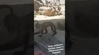 Знакомство с куклой 