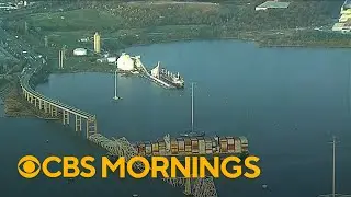 Cargo ship hits Baltimore bridge, bringing it down; search and rescue underway