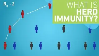 What is Herd Immunity?