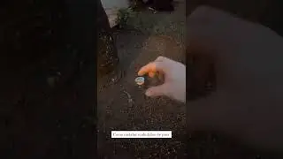 Iluminação paisagismo