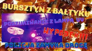 Bursztyn z Bałtyku