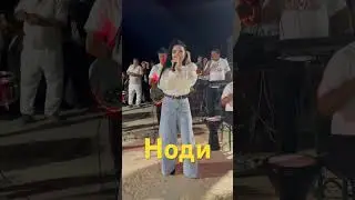 Ноди #rek #kulgilivideo #uzbwedding #weddingmusic #svadbauz #dance #weddingplaylist #hahaidea #farm