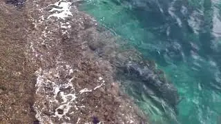 футажи волна-скалы-пляж-морской-воды