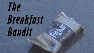 The Breakfast Bandit