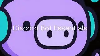 Discord Bot Essentials - How to Install and Configure!