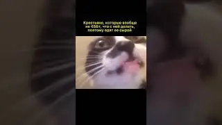 мем из ТикТока 
