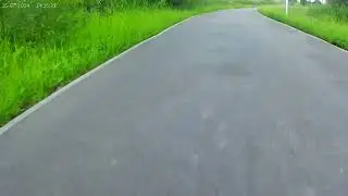 25 июля 2024 г.(5)