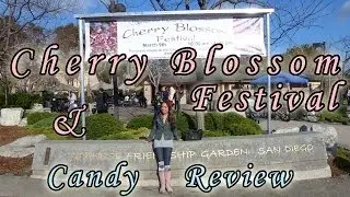 Cherry Blossom Festival and Japanese Candy Review