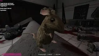 НАЙДЕНА МЫШЬ В SCP: Secret Laboratory
