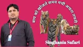 Chaos while searching for Tiger 🐅| Bagh Ki khoj ke time Afra tafri