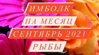 ИМБОЛК. ♓️РЫБЫ♓️. СВЕЧА УДАЧИ. СЕНТЯБРЬ 2021.