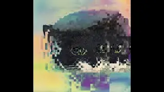 Digital quantum tunnelling cat warps space