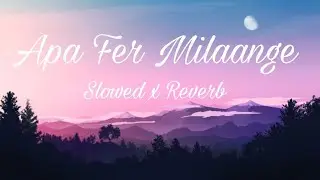 Apa Fer Milaange song Slowed & Reverb | New Panjabi Song 2024