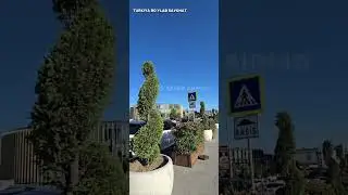 12 июля 2024 г.