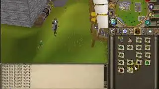 My RSPS - Yes I'm Back! [Playing With Thieving] [PI]