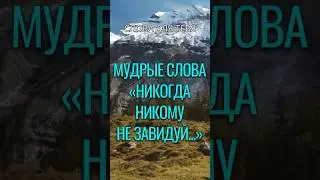 Мудрые Слова | Никогда Никому Не Завидуй | Мудрые Мысли #цитаты #мудрость #жизнь #вдохновение #стих