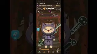 MemeFi today's Secret Tap Combo 24/08/2024 Get free 500K MemeFi coins daily #shorts #youtubeshorts