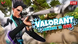 CHILL NIGHT STREAM !!| VALORANT LIVE | #valorant #live #gaming #india