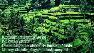 Relaxing Sleep Music, Deep Sleeping Music, Stress Relief, Meditation Music Piano & Gamelan Bali