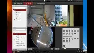 How to import cameras into multiple groups and creating custom views